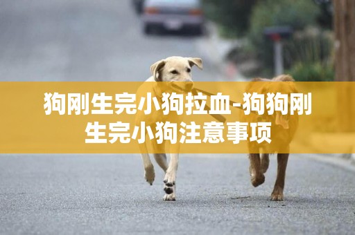 狗剛生完小狗拉血-狗狗剛生完小狗注意事項