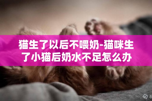 貓生了以后不喂奶-貓咪生了小貓后奶水不足怎么辦