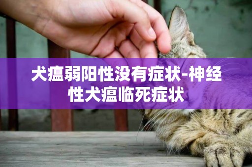 犬瘟弱陽性沒有癥狀-神經性犬瘟臨死癥狀