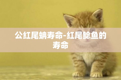 公紅尾蚺壽命-紅尾鯰魚的壽命