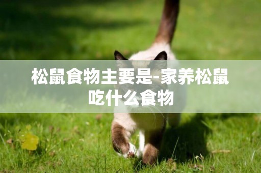 松鼠食物主要是-家養松鼠吃什么食物
