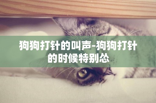 狗狗打針的叫聲-狗狗打針的時候特別慫