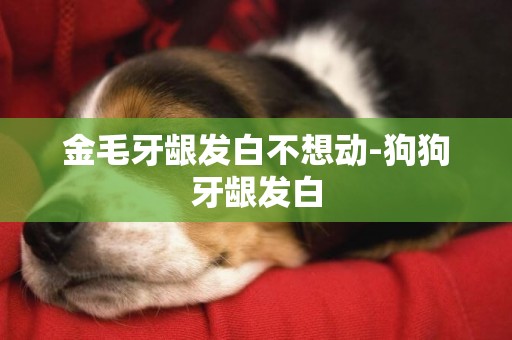 金毛牙齦發白不想動-狗狗牙齦發白