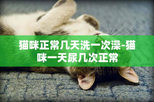 貓咪正常幾天洗一次澡-貓咪一天尿幾次正常