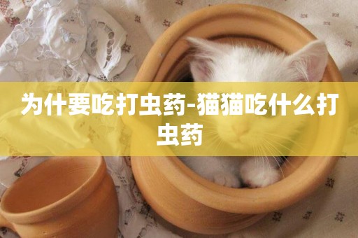 為什要吃打蟲藥-貓貓吃什么打蟲藥