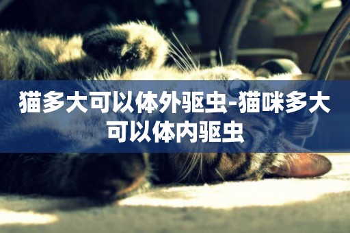 貓多大可以體外驅蟲-貓咪多大可以體內驅蟲