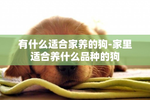 有什么適合家養的狗-家里適合養什么品種的狗