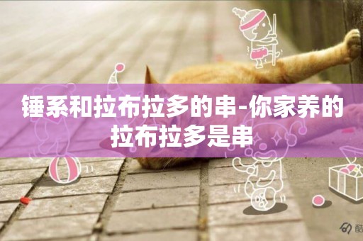 錘系和拉布拉多的串-你家養的拉布拉多是串