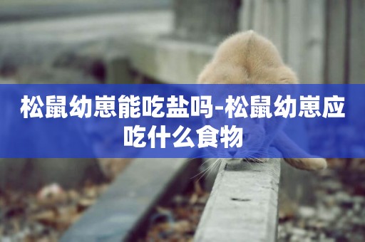 松鼠幼崽能吃鹽嗎-松鼠幼崽應吃什么食物