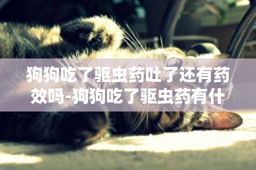 狗狗吃了驅蟲藥吐了還有藥效嗎-狗狗吃了驅蟲藥有什么反應