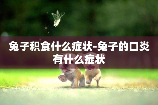 兔子積食什么癥狀-兔子的口炎有什么癥狀