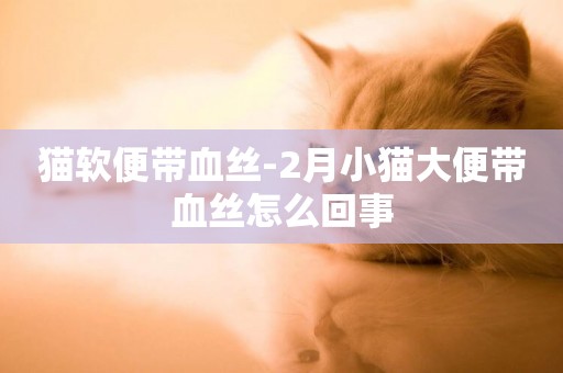 貓軟便帶血絲-2月小貓大便帶血絲怎么回事