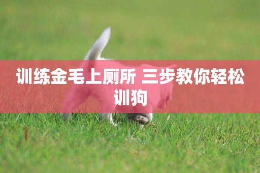 訓練金毛上廁所 三步教你輕松訓狗