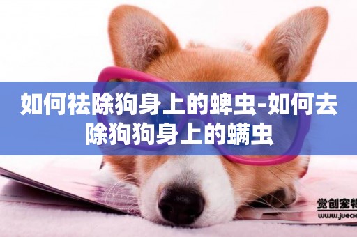如何祛除狗身上的蜱蟲-如何去除狗狗身上的螨蟲