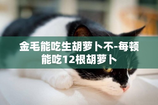 金毛能吃生胡蘿卜不-每頓能吃12根胡蘿卜