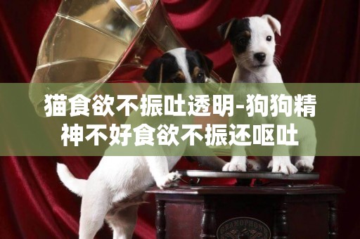貓食欲不振吐透明-狗狗精神不好食欲不振還嘔吐