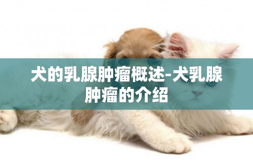 犬的乳腺腫瘤概述-犬乳腺腫瘤的介紹