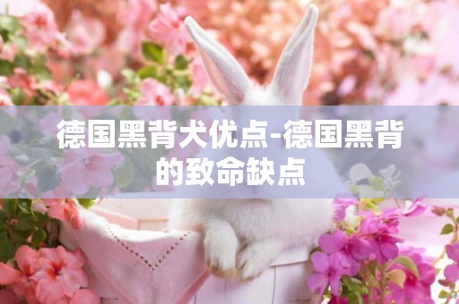 德國黑背犬優點-德國黑背的致命缺點