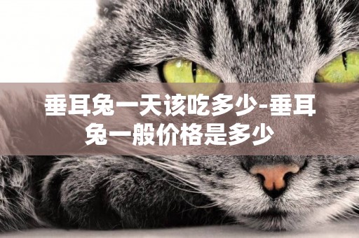 垂耳兔一天該吃多少-垂耳兔一般價格是多少