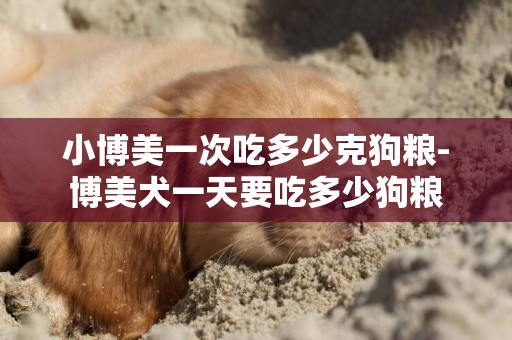 小博美一次吃多少克狗糧-博美犬一天要吃多少狗糧
