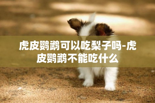 虎皮鸚鵡可以吃梨子嗎-虎皮鸚鵡不能吃什么