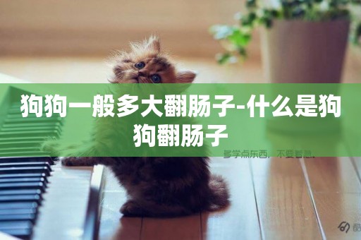 狗狗一般多大翻腸子-什么是狗狗翻腸子