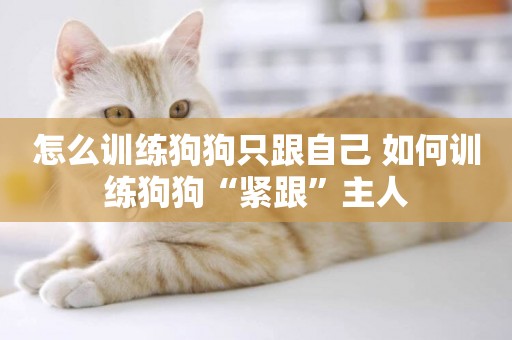怎么訓練狗狗只跟自己 如何訓練狗狗“緊跟”主人