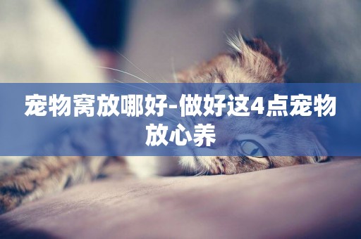 寵物窩放哪好-做好這4點寵物放心養