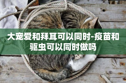 大寵愛和拜耳可以同時-疫苗和驅蟲可以同時做嗎