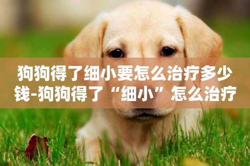 狗狗得了細小要怎么治療多少錢-狗狗得了“細小”怎么治療