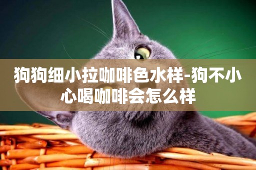 狗狗細小拉咖啡色水樣-狗不小心喝咖啡會怎么樣