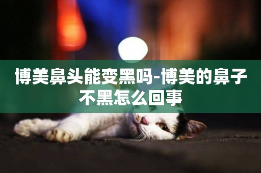 博美鼻頭能變黑嗎-博美的鼻子不黑怎么回事