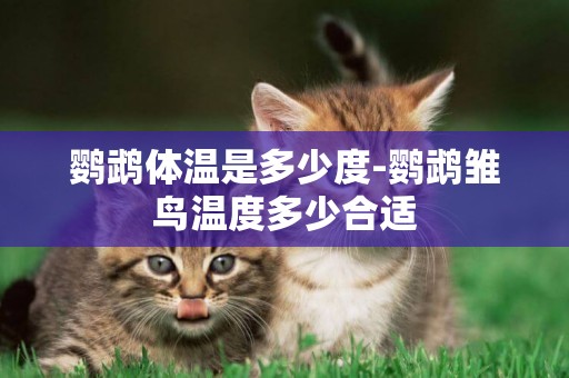 鸚鵡體溫是多少度-鸚鵡雛鳥溫度多少合適