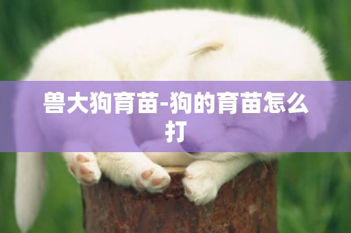 獸大狗育苗-狗的育苗怎么打