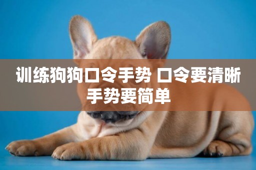 訓練狗狗口令手勢 口令要清晰手勢要簡單 訓練狗狗口令手勢 口令要清晰手勢要簡單