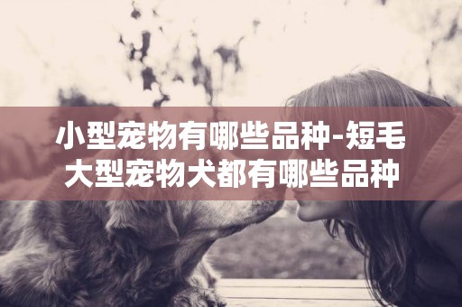 小型寵物有哪些品種-短毛大型寵物犬都有哪些品種