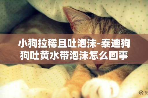 小狗拉稀且吐泡沫-泰迪狗狗吐黃水帶泡沫怎么回事