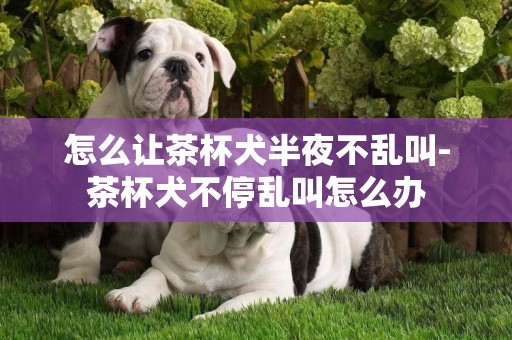 怎么讓茶杯犬半夜不亂叫-茶杯犬不停亂叫怎么辦
