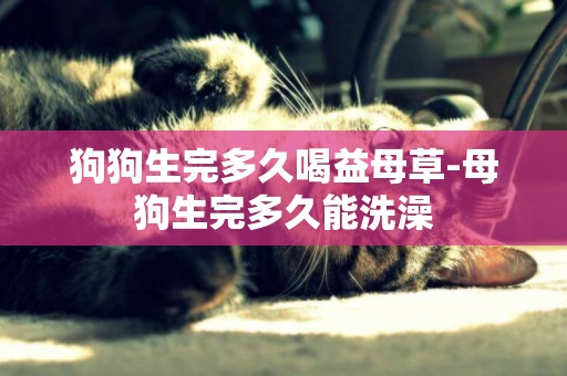 狗狗生完多久喝益母草-母狗生完多久能洗澡