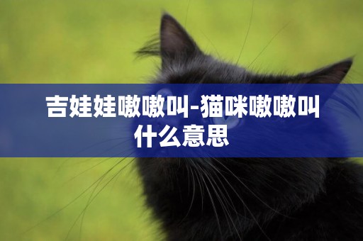 吉娃娃嗷嗷叫-貓咪嗷嗷叫什么意思