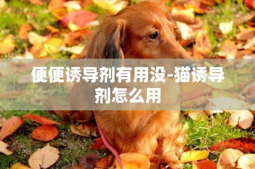 便便誘導劑有用沒-貓誘導劑怎么用