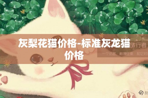灰梨花貓價格-標準灰龍貓價格