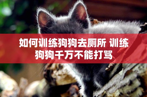 如何訓練狗狗去廁所 訓練狗狗千萬不能打罵