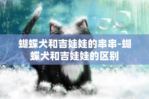 蝴蝶犬和吉娃娃的串串-蝴蝶犬和吉娃娃的區別