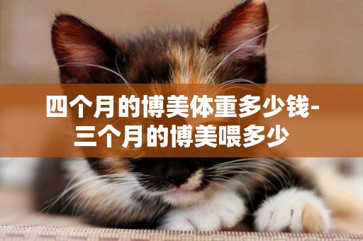 四個月的博美體重多少錢-三個月的博美喂多少