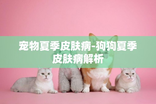 寵物夏季皮膚病-狗狗夏季皮膚病解析