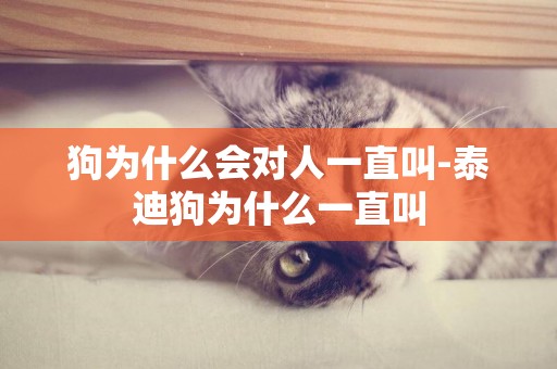 狗為什么會對人一直叫-泰迪狗為什么一直叫