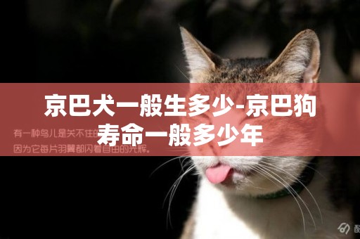 京巴犬一般生多少-京巴狗壽命一般多少年