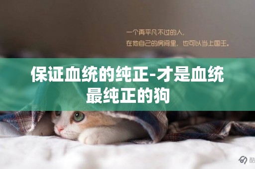 保證血統的純正-才是血統最純正的狗