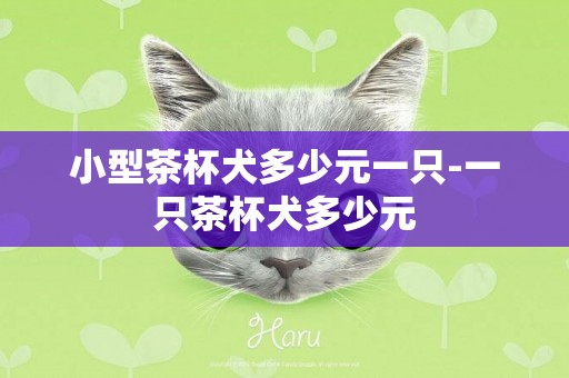 小型茶杯犬多少元一只-一只茶杯犬多少元